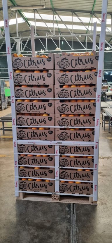 Mandarin W. Murcott export boxes stacked and ready for shipment to European markets