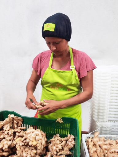 Peruvian worker processing fresh ginger root at certified Inkawald facility
